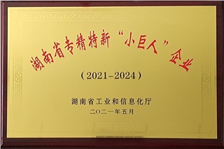 湖南省小巨人企业