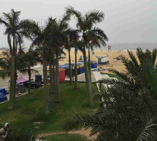 男阳茎进女阳道视频大全