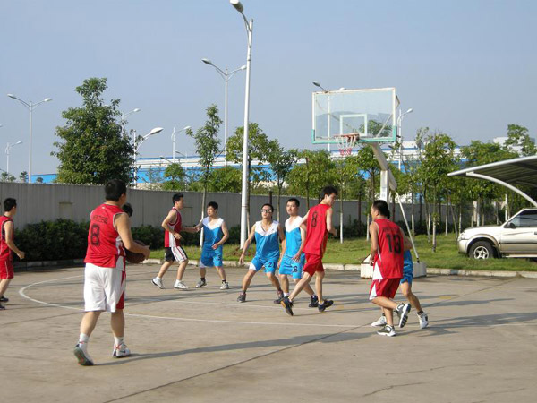 男阳茎进女阳道视频大全