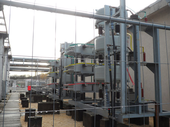 男阳茎进女阳道视频大全