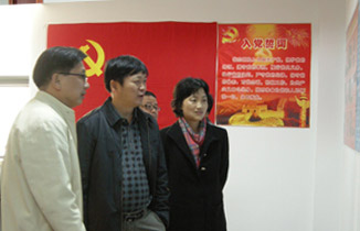 男阳茎进女阳道视频大全