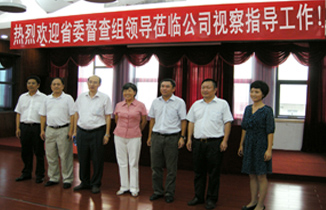 男阳茎进女阳道视频大全