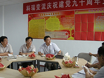 男阳茎进女阳道视频大全