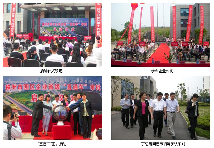 男阳茎进女阳道视频大全