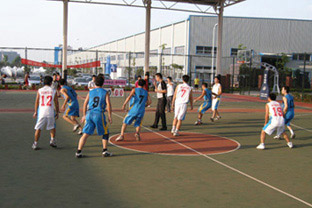 男阳茎进女阳道视频大全