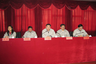 男阳茎进女阳道视频大全