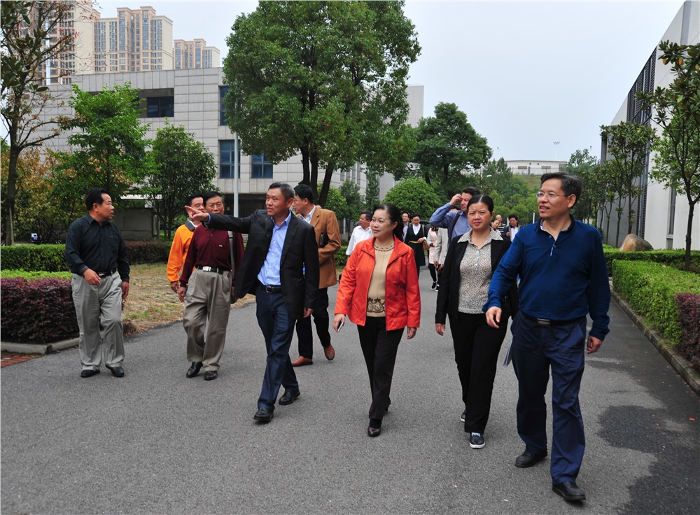 男阳茎进女阳道视频大全