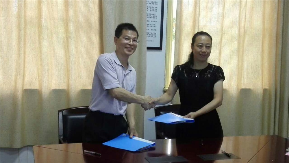 男阳茎进女阳道视频大全