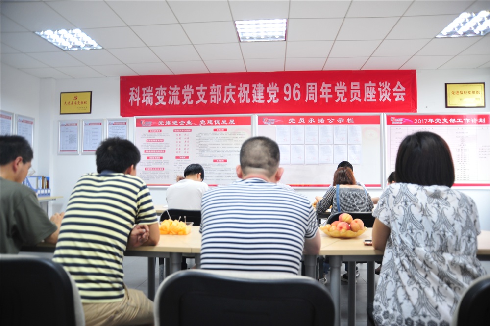 男阳茎进女阳道视频大全