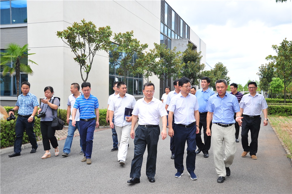 男阳茎进女阳道视频大全