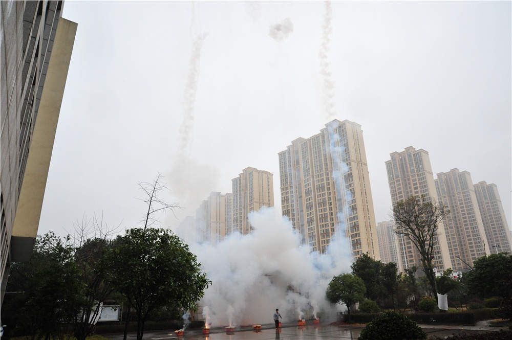 男阳茎进女阳道视频大全