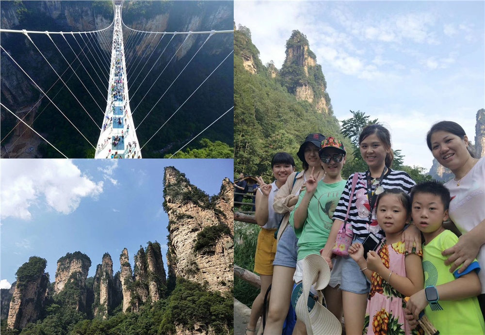 男阳茎进女阳道视频大全