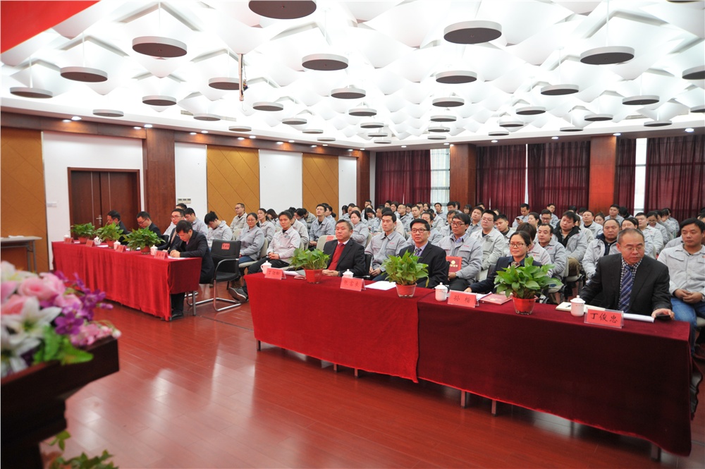 男阳茎进女阳道视频大全