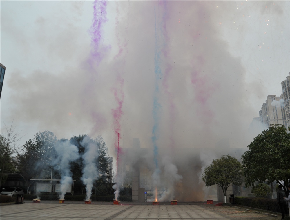 男阳茎进女阳道视频大全