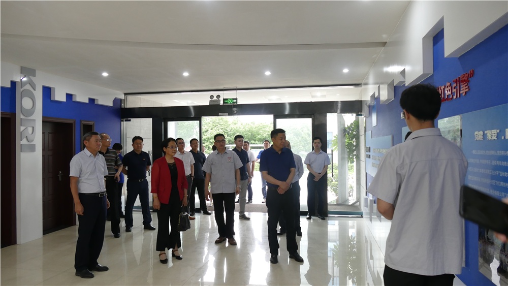 男阳茎进女阳道视频大全