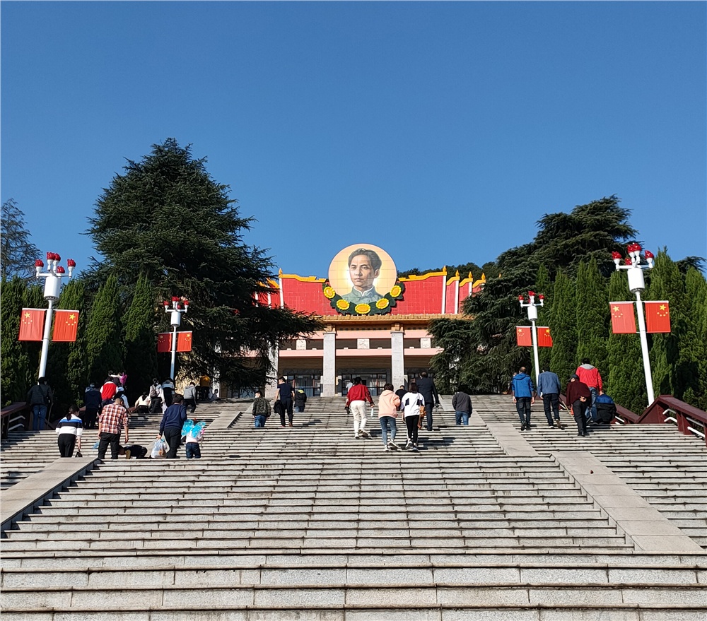 男阳茎进女阳道视频大全