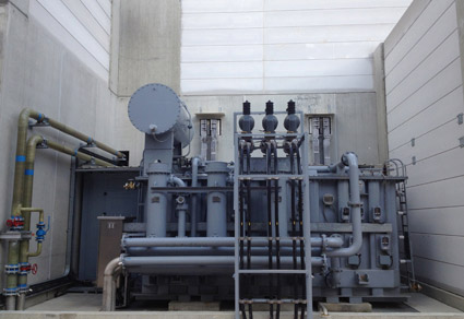 男阳茎进女阳道视频大全