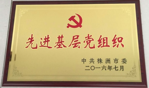 男阳茎进女阳道视频大全