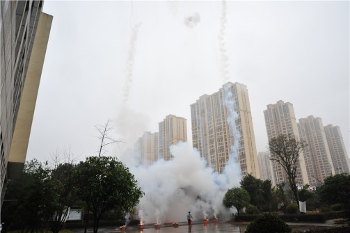 男阳茎进女阳道视频大全