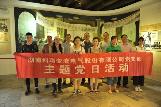 男阳茎进女阳道视频大全