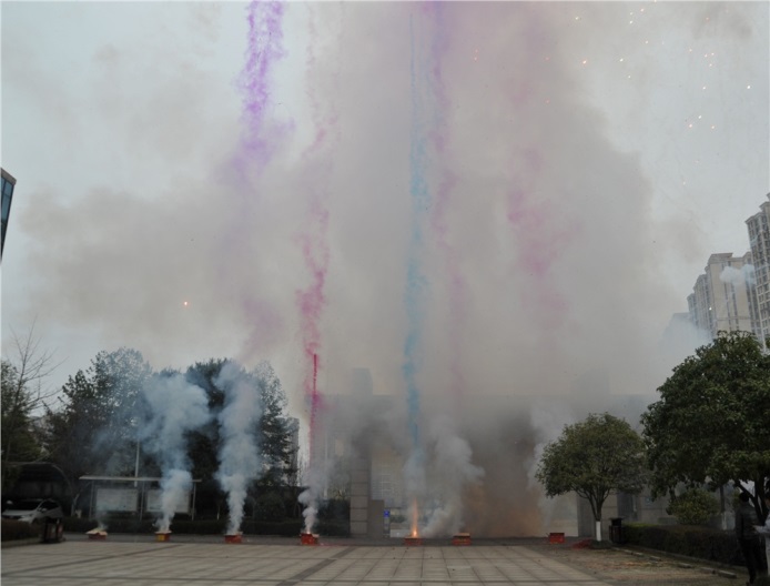 男阳茎进女阳道视频大全
