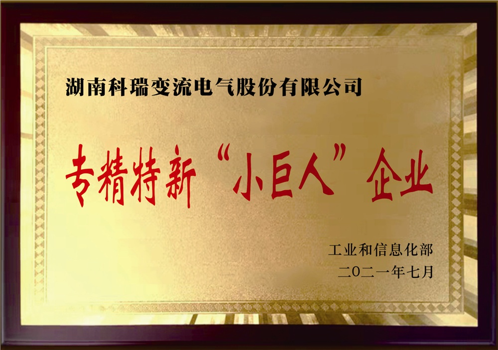 男阳茎进女阳道视频大全