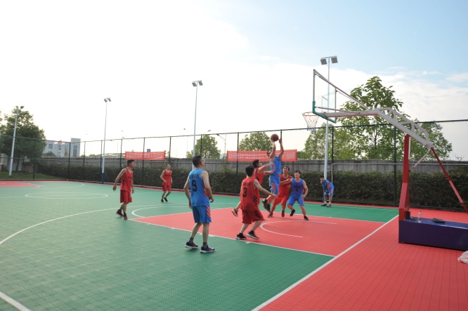 男阳茎进女阳道视频大全