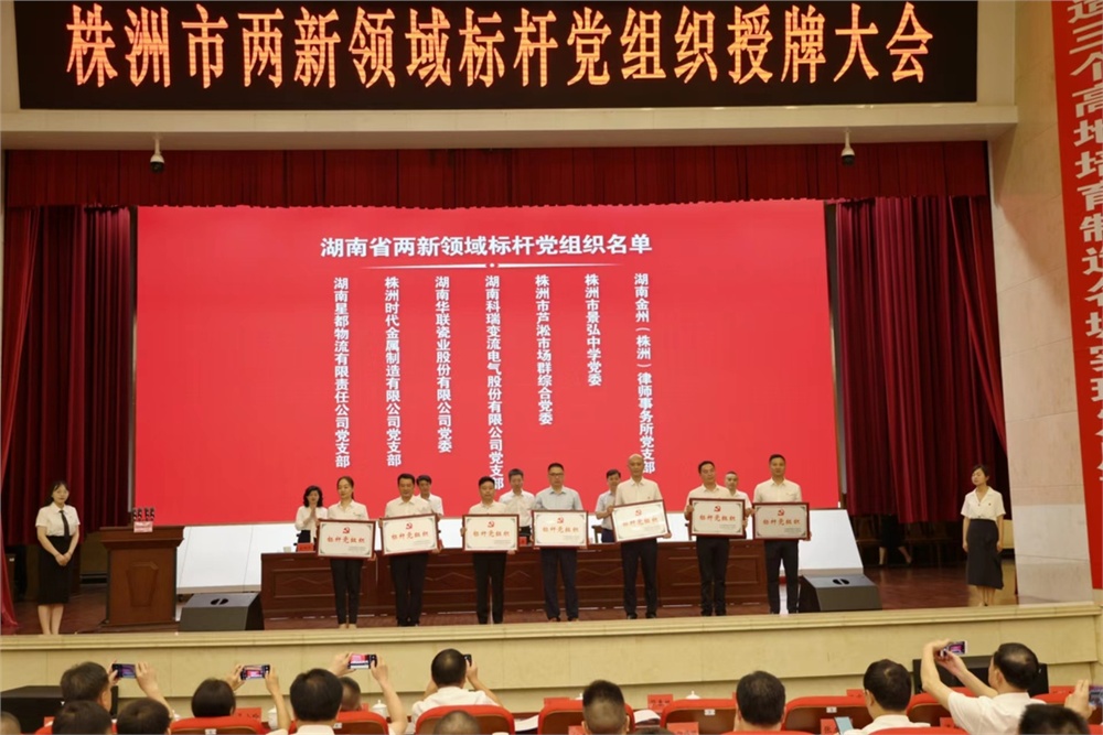 男阳茎进女阳道视频大全