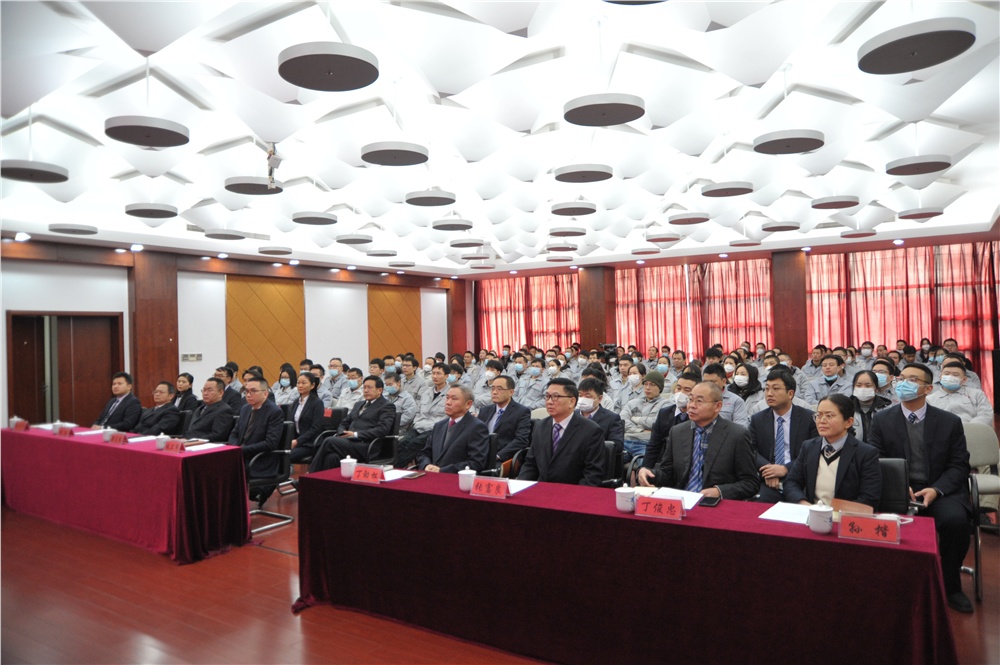 男阳茎进女阳道视频大全