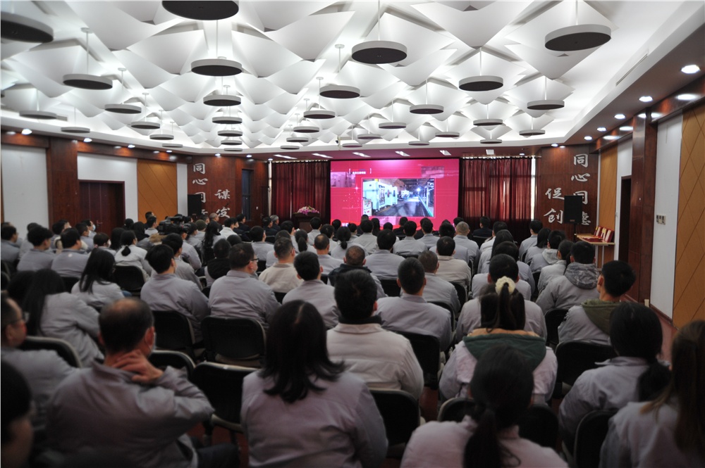 男阳茎进女阳道视频大全