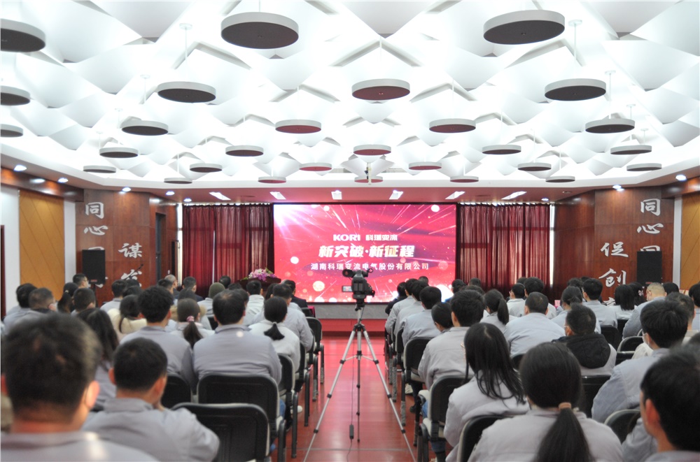 男阳茎进女阳道视频大全