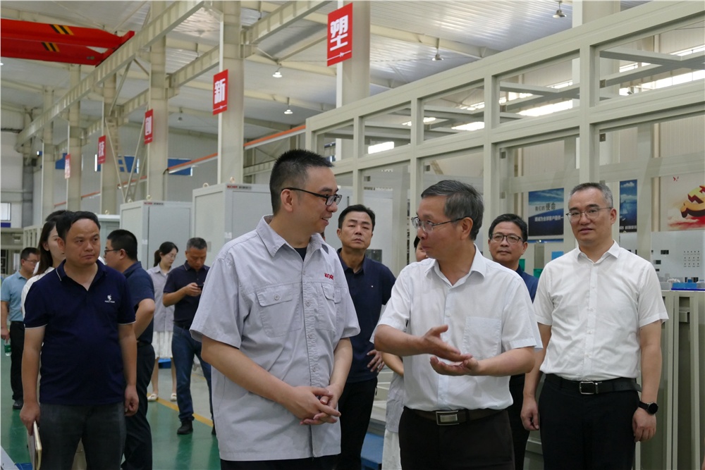 男阳茎进女阳道视频大全