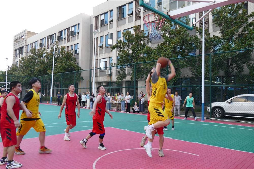 男阳茎进女阳道视频大全