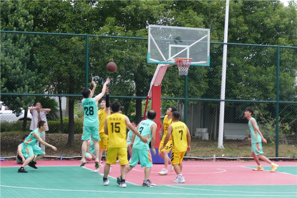 男阳茎进女阳道视频大全