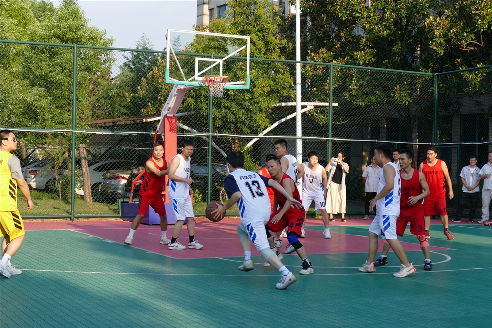 男阳茎进女阳道视频大全