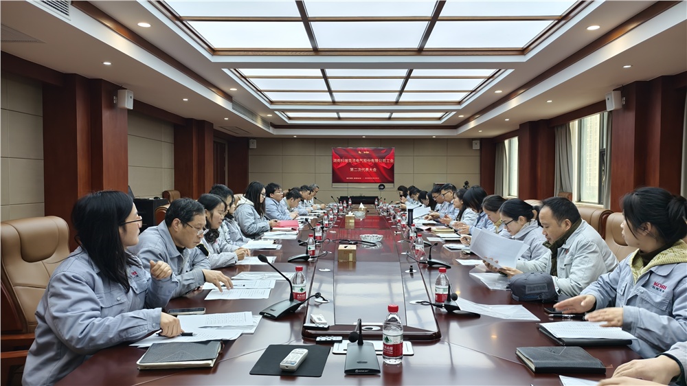 男阳茎进女阳道视频大全