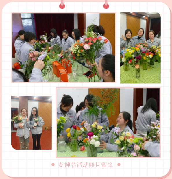 男阳茎进女阳道视频大全